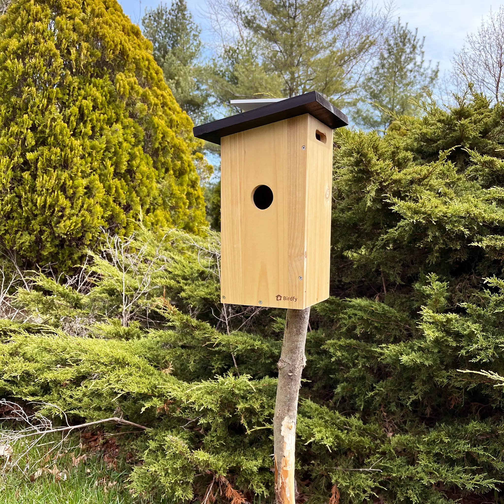 Netvue Birdfy Ebony Smart Bird House - Image 2