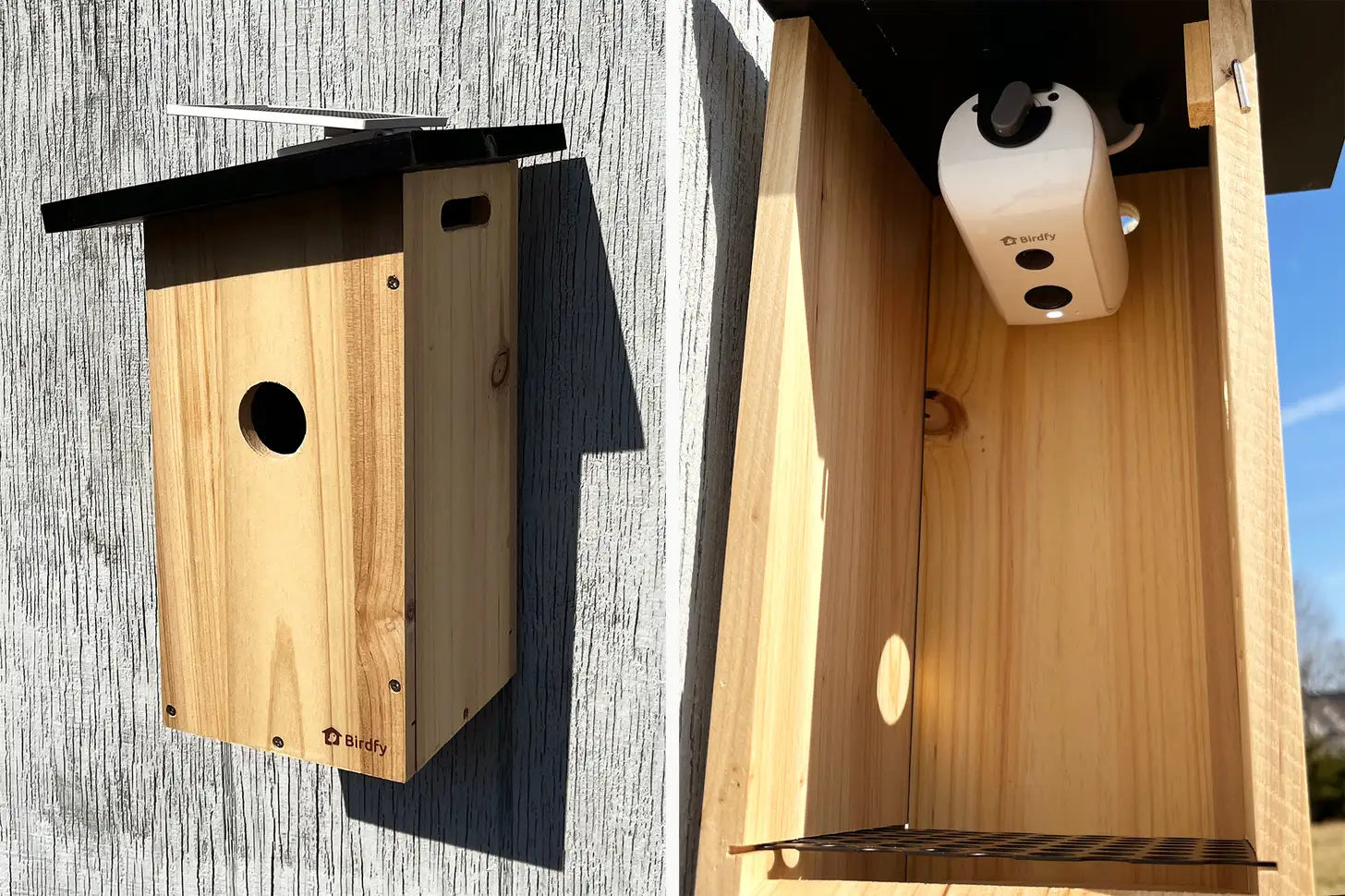 Netvue Birdfy Ebony Smart Bird House - Image 5