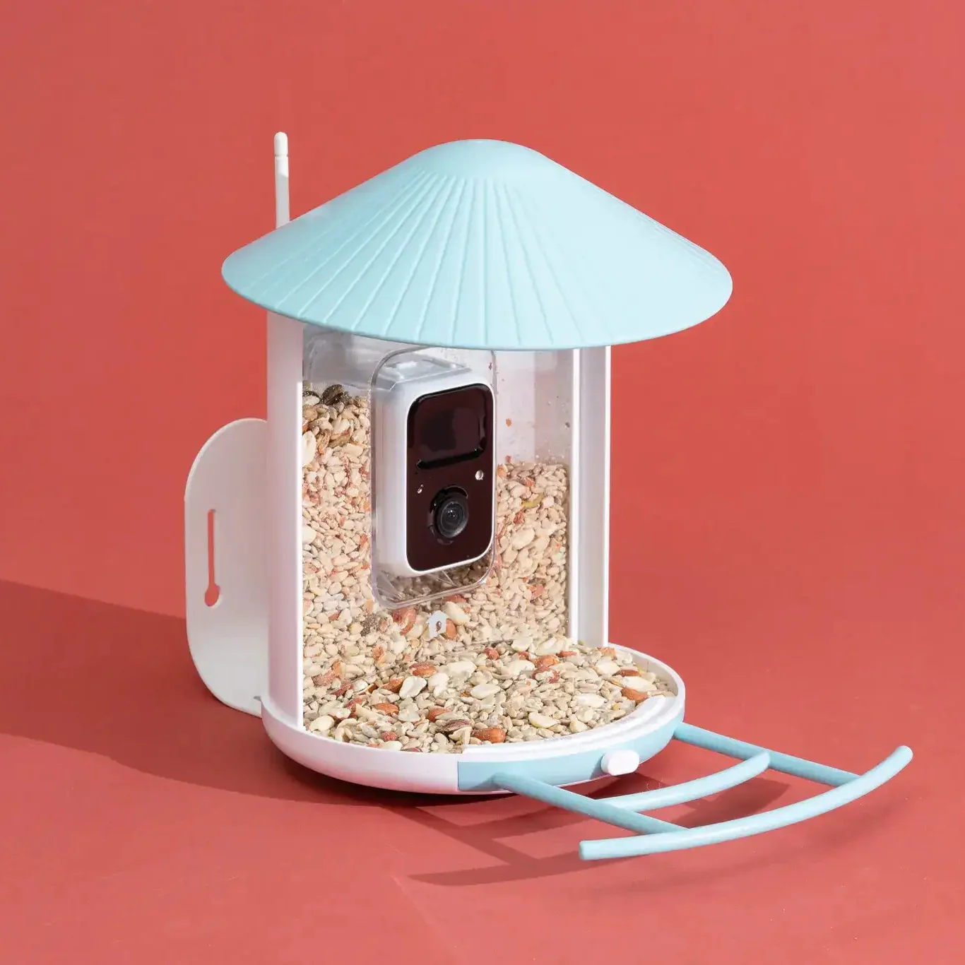 Netvue Birdfy Feeder
