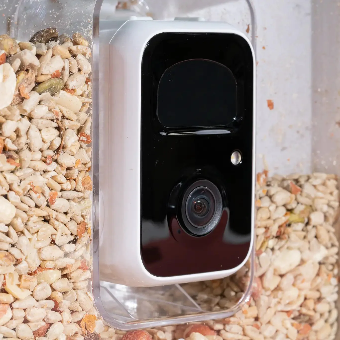 Netvue Birdfy Feeder - Image 3